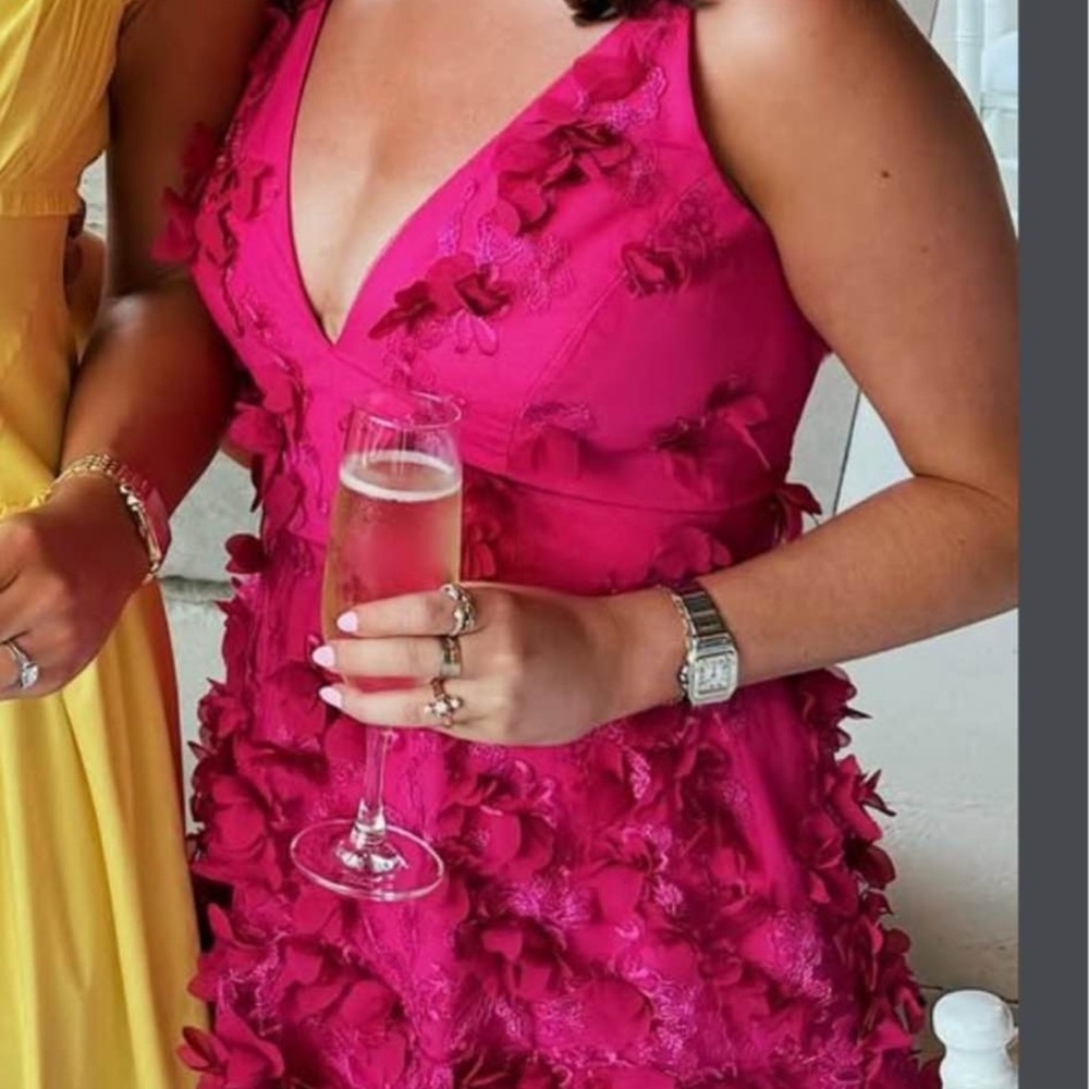 HELSI Riley Embroidered Dress Fuchsia - Picture 3 of 3